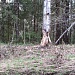 Река Велеса в тверской области на майские праздники